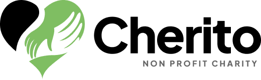 brightlightlane Non-Profit